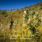 Industrial Photographer South Africa