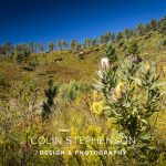 Industrial Photographer South Africa