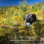 Industrial photography Africa