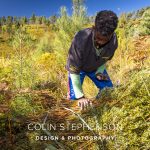 Industrial photography Africa