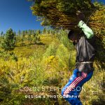 Industrial Photographer South Africa