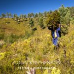 Industrial Photographer South Africa