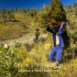 Industrial Photographer South Africa