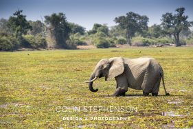 Environmental photography South Africa