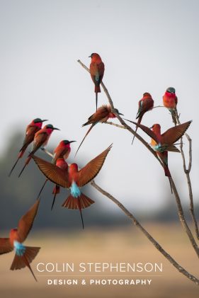 Environmental photography South Africa