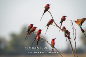 Environmental photography South Africa