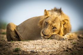 Environmental photography South Africa