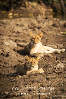 Environmental photography South Africa