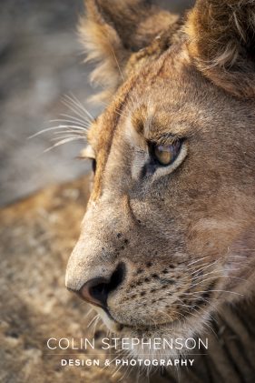 Environmental photography South Africa