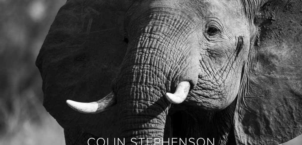 Environmental photography South Africa