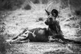 Environmental photography South Africa