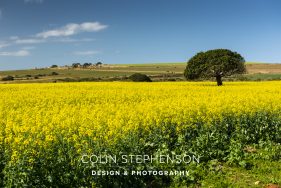 Environmental photography South Africa