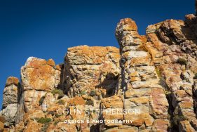 Environmental photography South Africa
