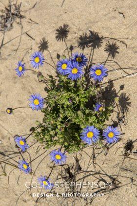 Environmental photography South Africa