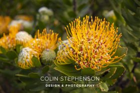 Environmental photography South Africa