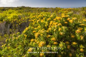 Environmental photography South Africa