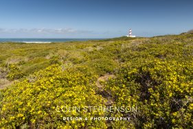 Environmental photography South Africa