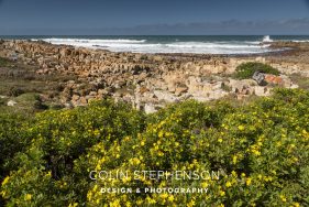 Environmental photography South Africa
