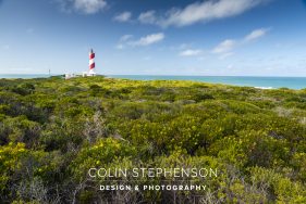 Environmental photography South Africa