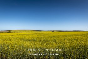 Environmental photography South Africa