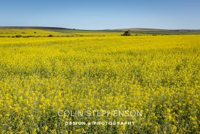 Environmental photography South Africa