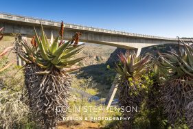 Environmental photography South Africa