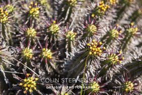 Environmental photography South Africa
