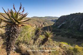 Environmental photography South Africa
