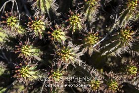 Environmental photography South Africa