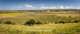 Environmental photography South Africa