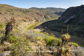 Environmental photography South Africa