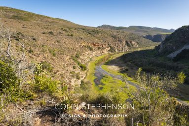 Environmental photography South Africa