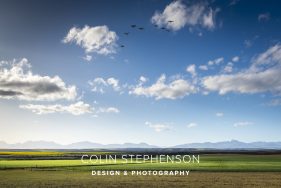 Environmental photography South Africa