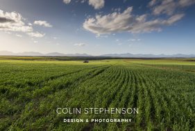 Environmental photography South Africa