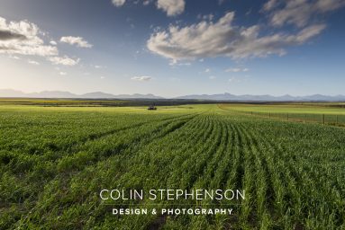 Environmental photography South Africa
