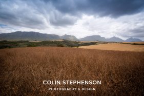 Colin Stephenson Environmental photographer Africa