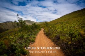 Colin Stephenson Environmental photographer Africa