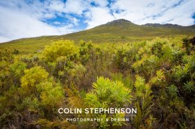 Colin Stephenson Environmental photographer Africa