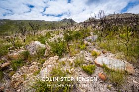 Environmental photographer Africa