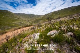 Environmental photographer Africa