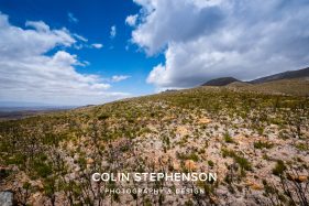 Environmental photographer Africa