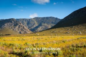 Colin Stephenson Environmental photographer Africa
