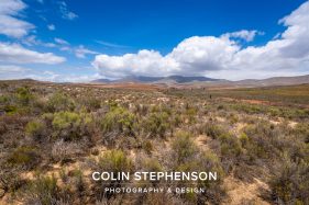 Environmental photographer Africa