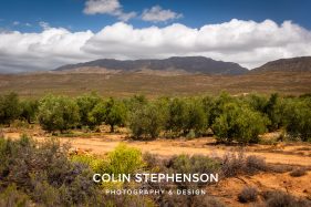 Environmental photographer Africa