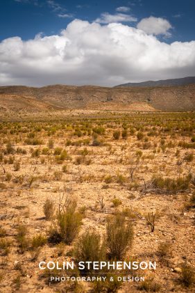 Environmental photographer Africa
