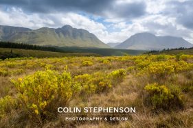 Colin Stephenson Environmental photographer Africa