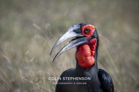 Environmental photographer Africa