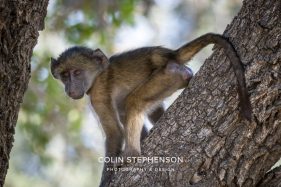 Environmental photographer Africa