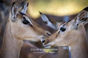 Environmental photographer Africa