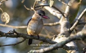 Environmental photographer Africa